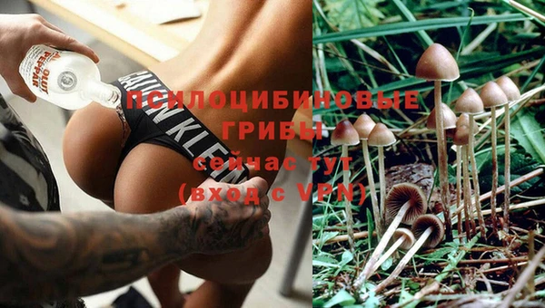 марки nbome Алексеевка